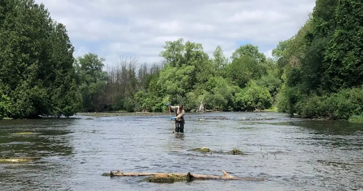 DNA reveals hidden biodiversity loss in Ontario streams, offering powerful new tool for freshwater monitoring