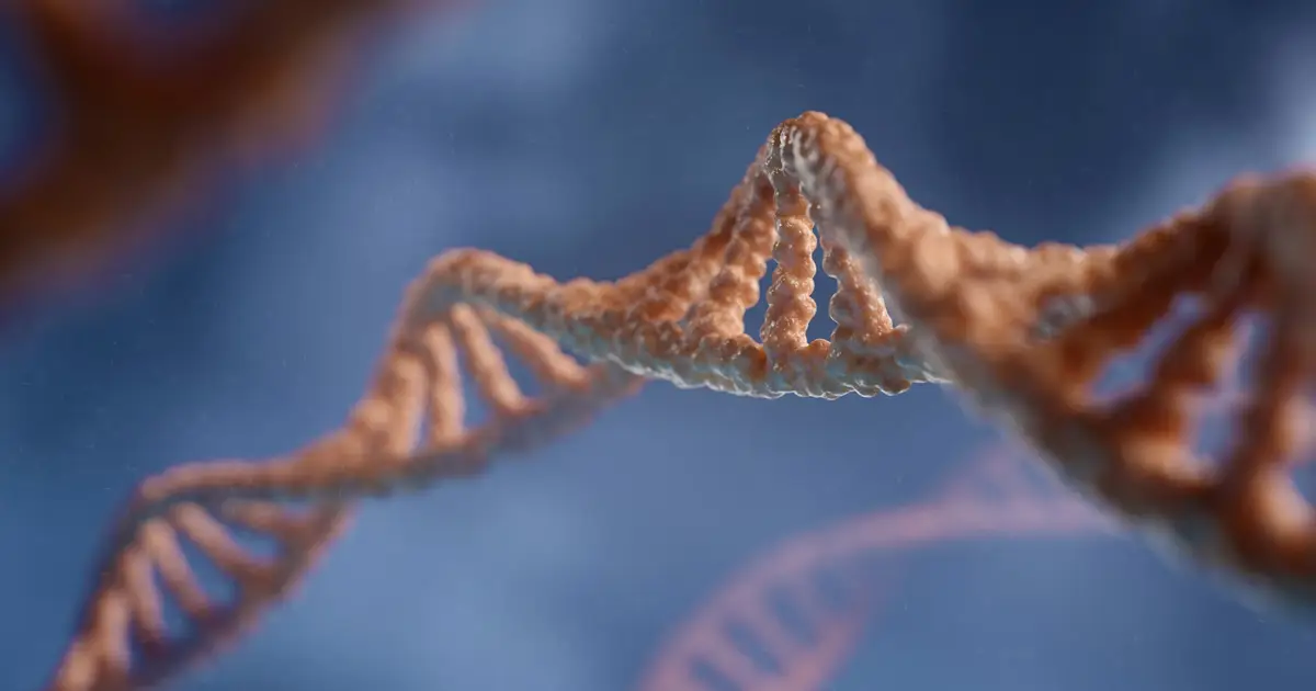 New insights into how DNA, the body's instruction manual for life, is regulated