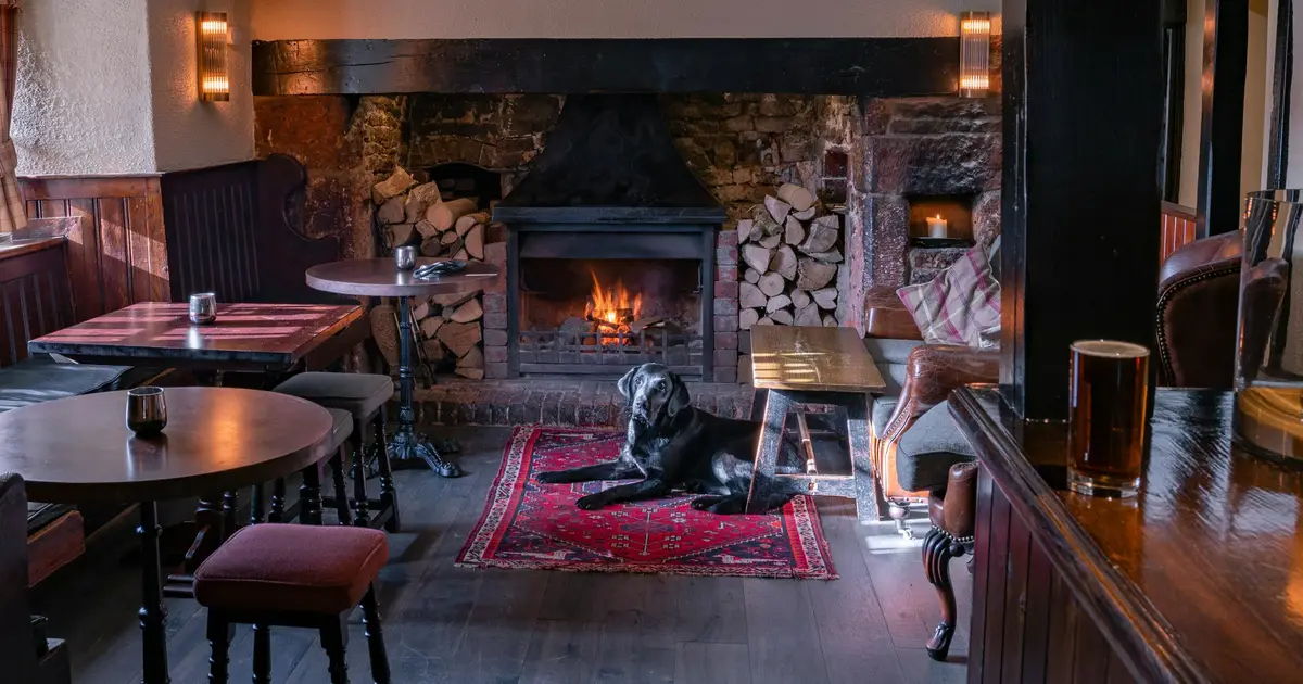 Dog-friendly dining isn't just a trend, it's good for business, new research shows