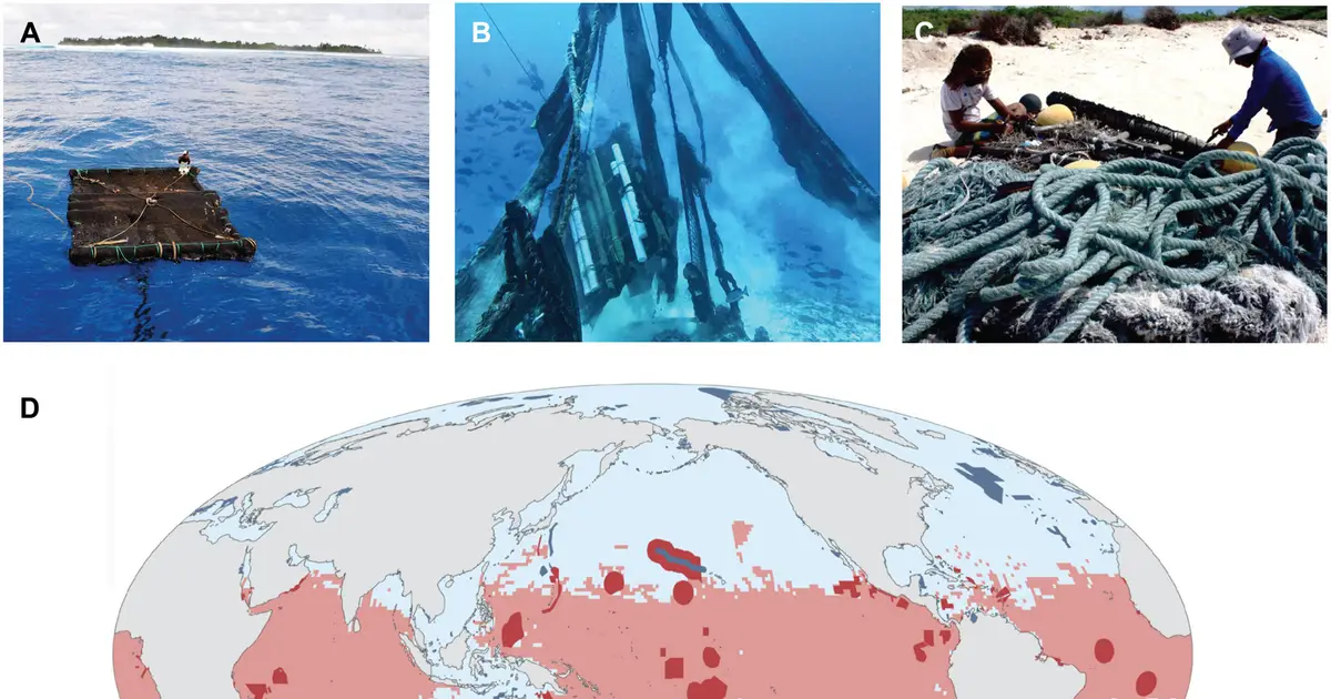 Drifting tuna gear creates risks for wildlife in protected marine areas