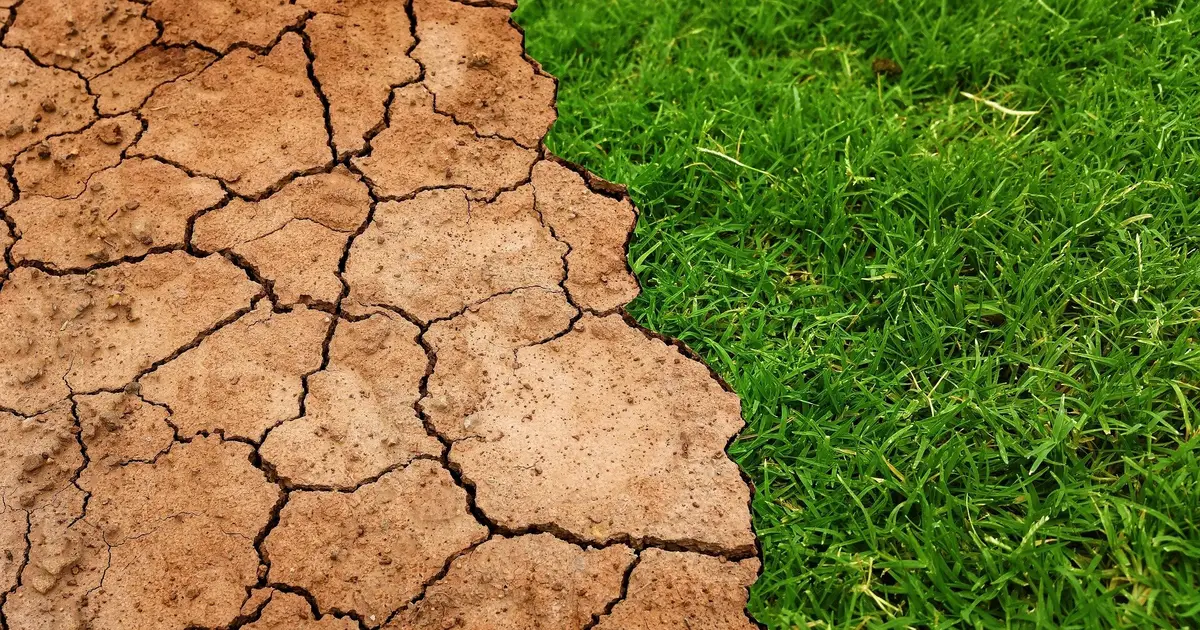 How cracks in dry soil impact moisture evaporation