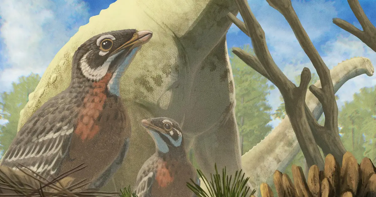 Early snakes explored life underground, on land and at sea