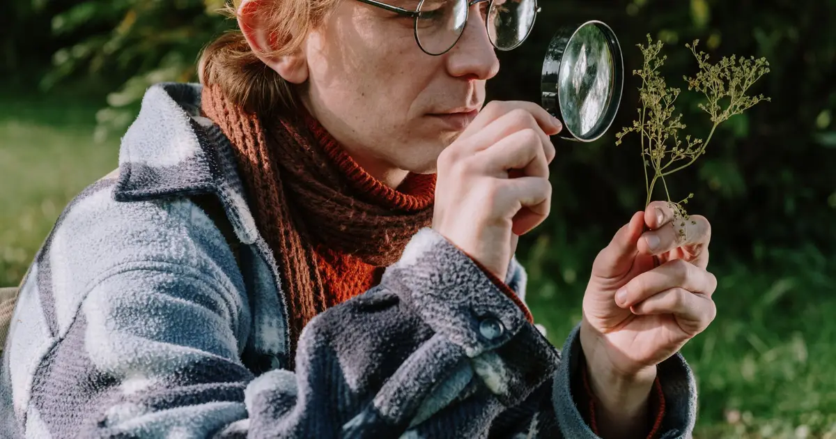 Quantitative training overhaul needed in ecology