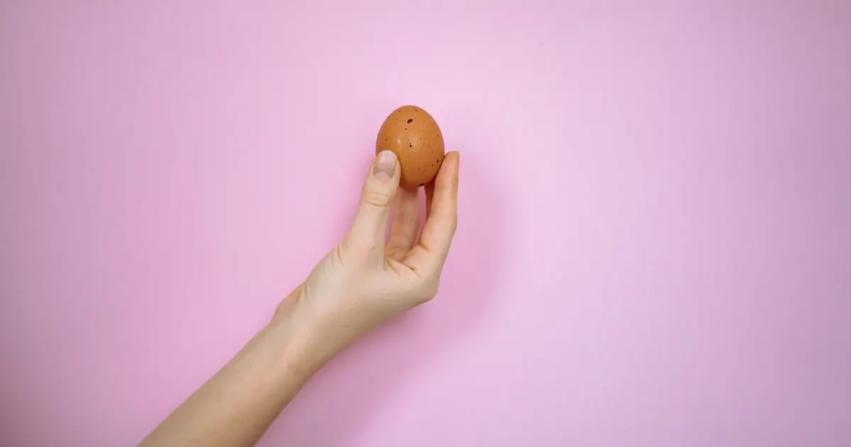 De‑extinction company says it's made an artificial egg—if true, it could help save living species