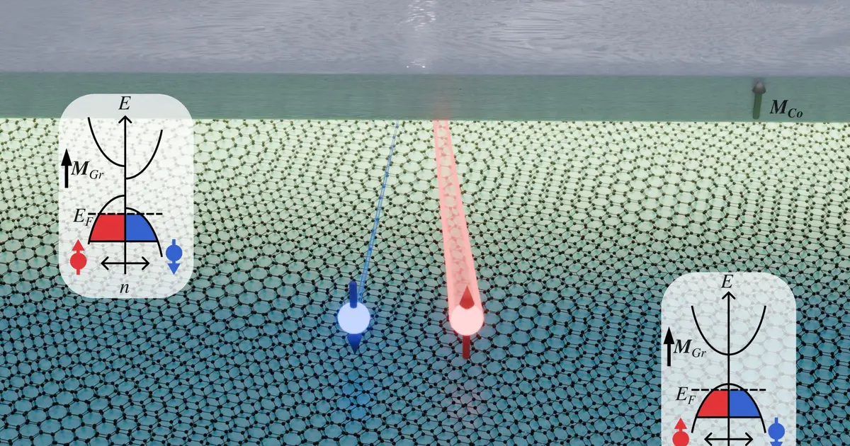 Electrically tunable spin polarization in graphene opens path toward low-power spintronic devices