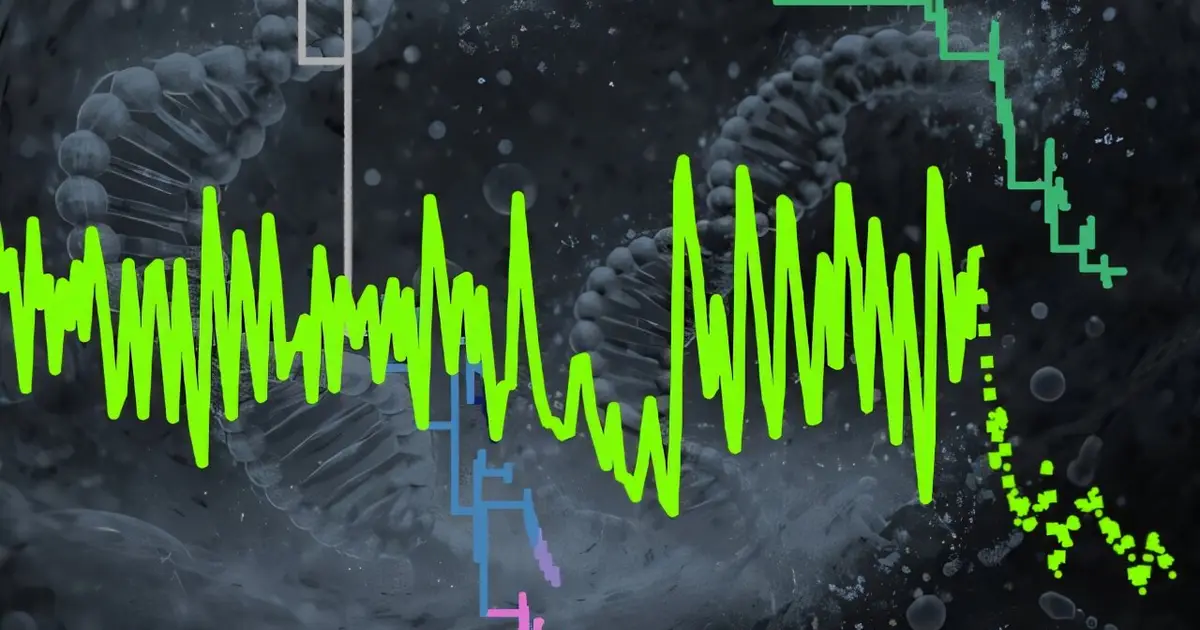 Continuous stirring made early life-like RNA systems more extinction-prone, experiment shows