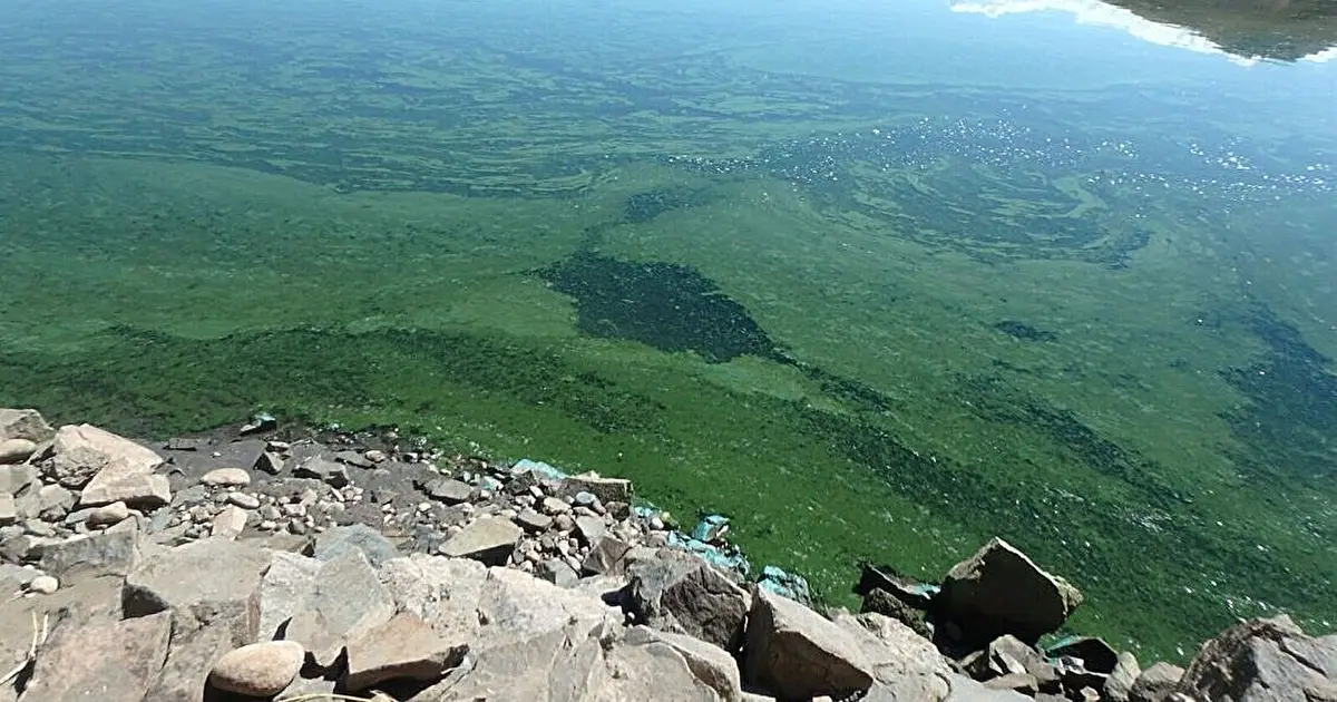 Satellites reveal when toxic algal blooms flare in Blue Mesa Reservoir