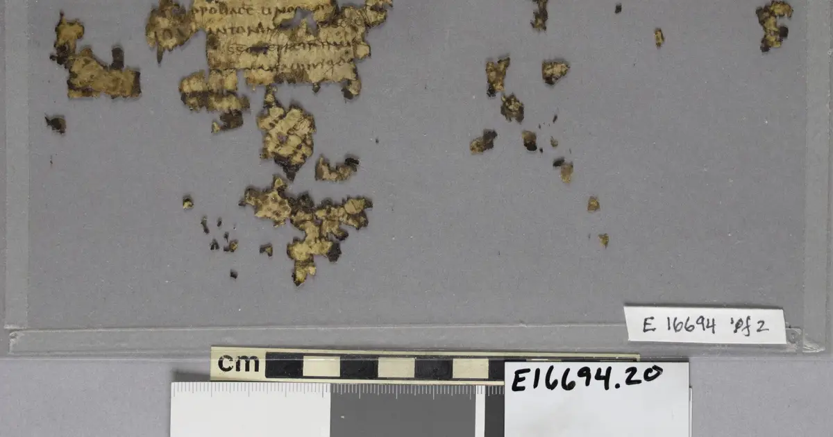 Expert pieces together puzzle from fragments of 1,600-year-old Roman text