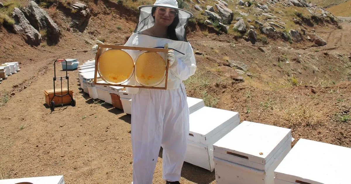 Exploring honey's anti-aging properties in human skin cells