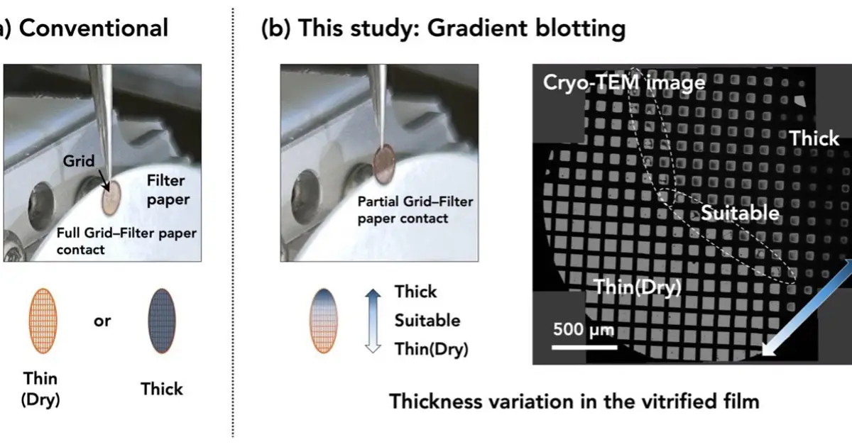 Extending cryo-electron microscopy beyond water