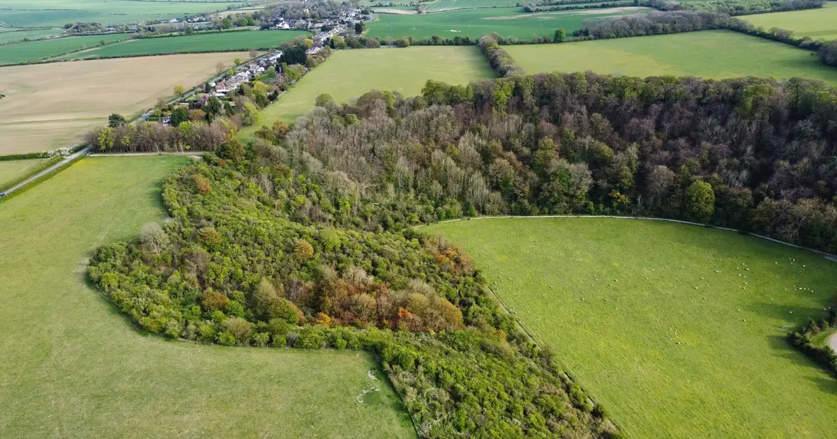 Farmers are key to restoring native woodlands—here's what's holding them back