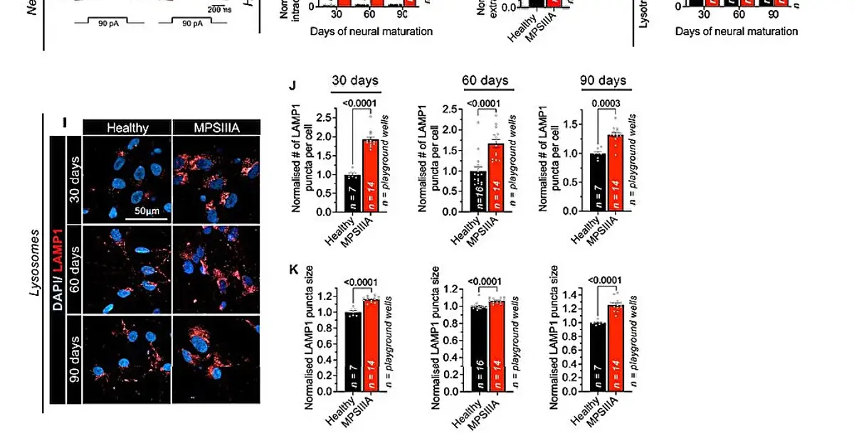 AI-guided screening identifies nine drugs that may slow childhood dementia