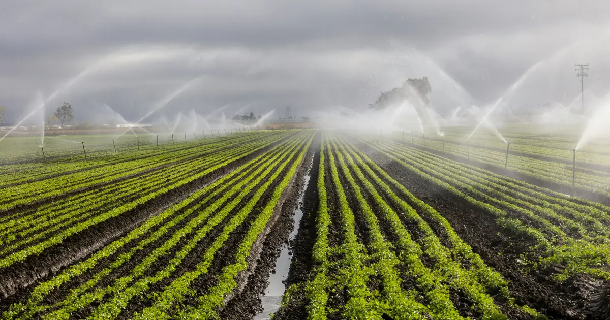 To achieve 'AI for all' in agriculture, Canada's farmers need regional, systems‑level change