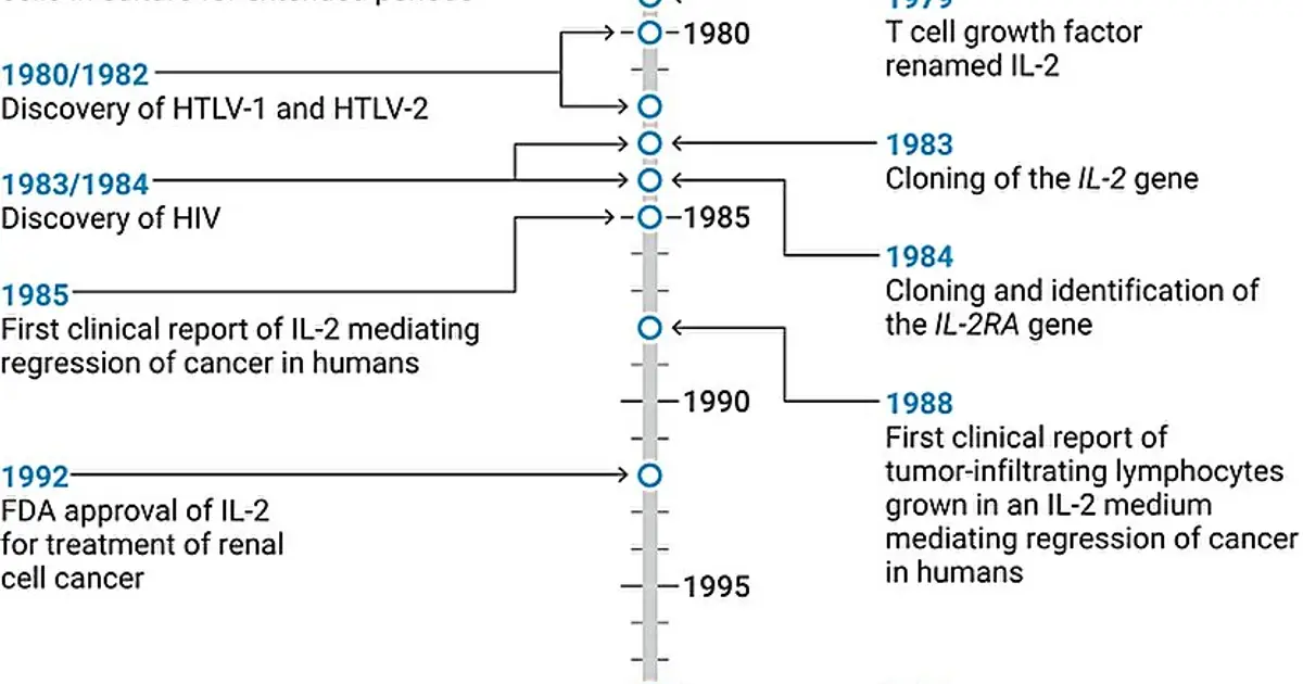 Fifty years after IL-2 discovery, researchers reflect on how it has transformed medicine