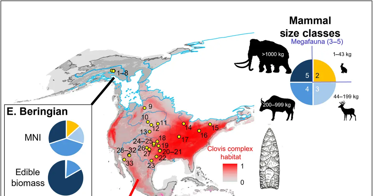Earliest Americans specialized in megafauna hunting from Alaska to South America, analysis of 50 sites reveals
