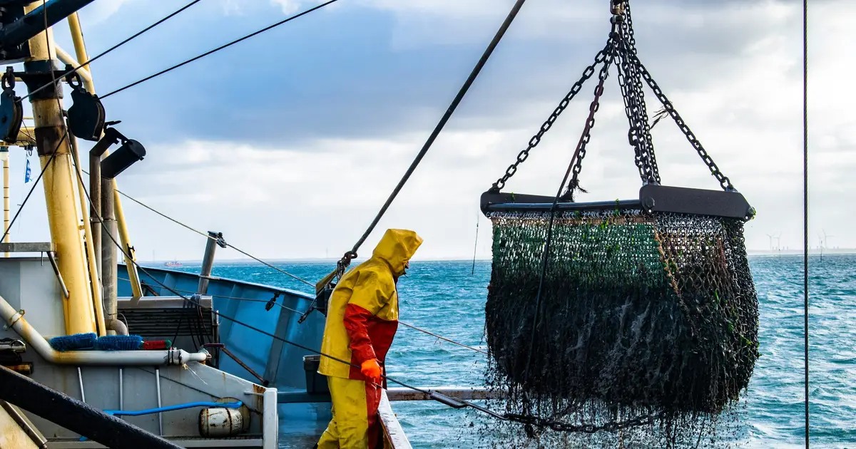 Harsher weather could encourage sustainable ecolabeling in fishing industry