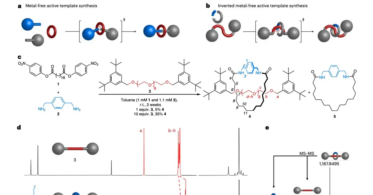 Self‑building molecular rings bring next‑generation drug delivery and smart materials closer