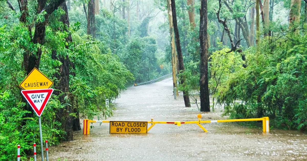 New research shows how forests can prevent floods of all sizes