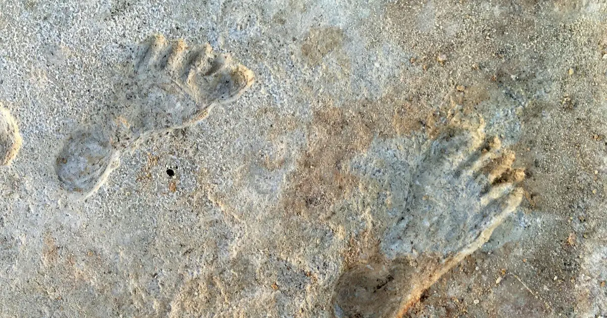 Early humans in America endured climate chaos—new research