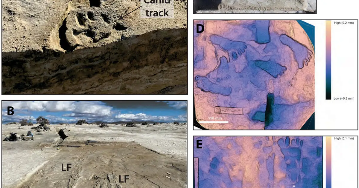 White Sands footprints suggest humans experienced abrupt environmental shifts during the last ice age