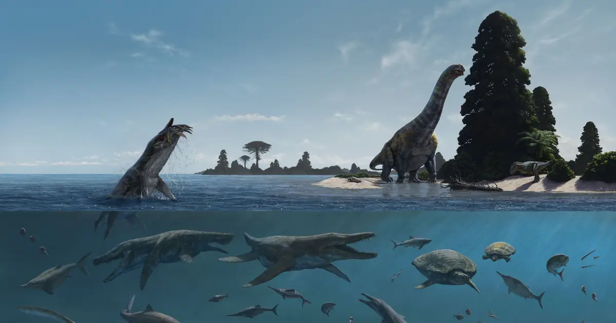 Marine fossils in Colombia reveal possible evolutionary transition without mass extinction