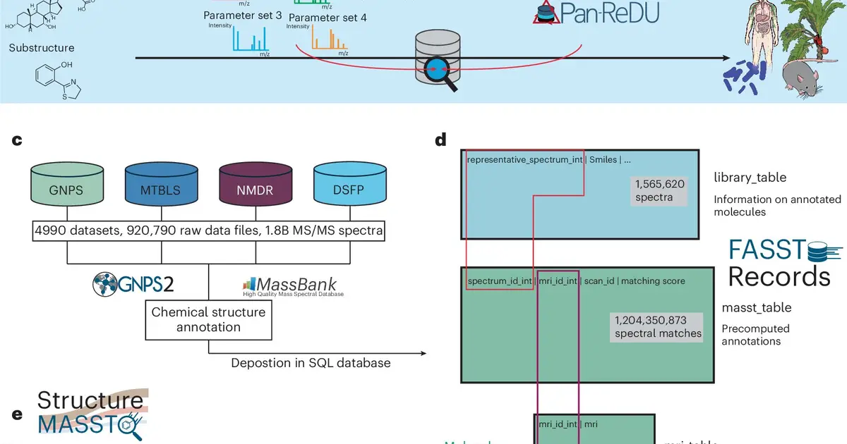 From molecules to meaning: A search engine developed for the chemistry of life