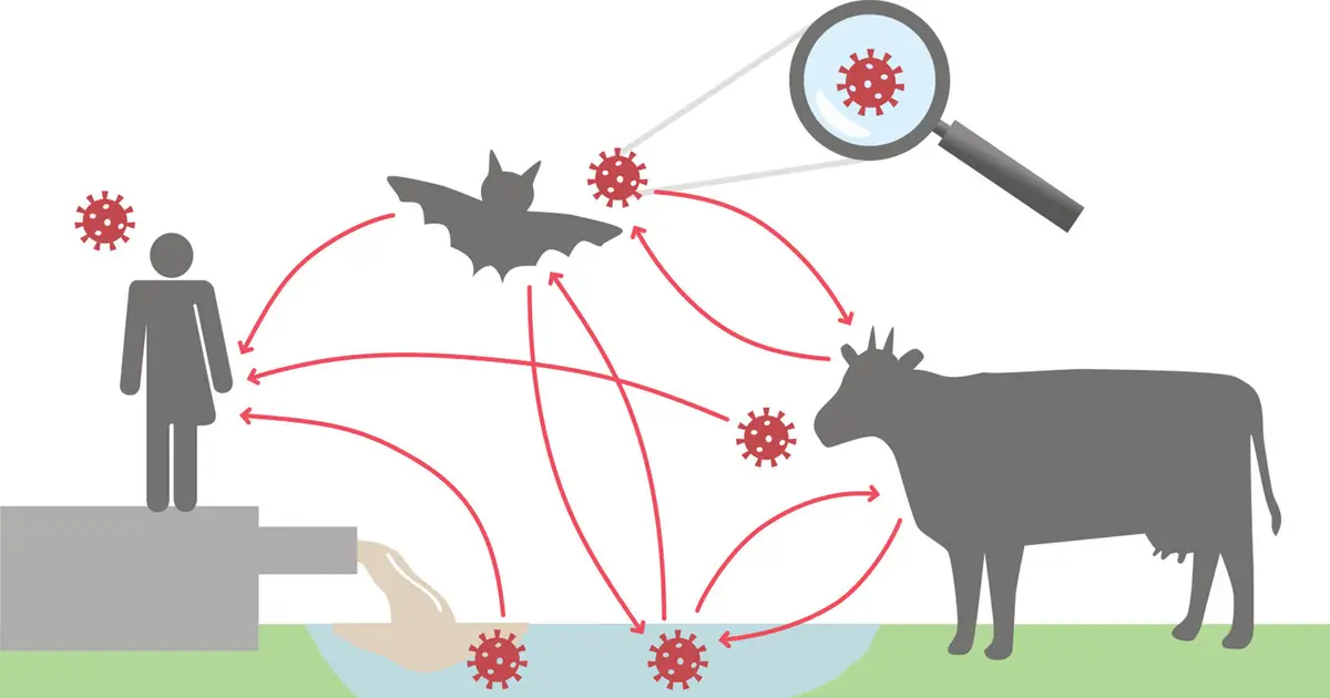 Beyond COVID-19: Fundamental principles that shape pandemics