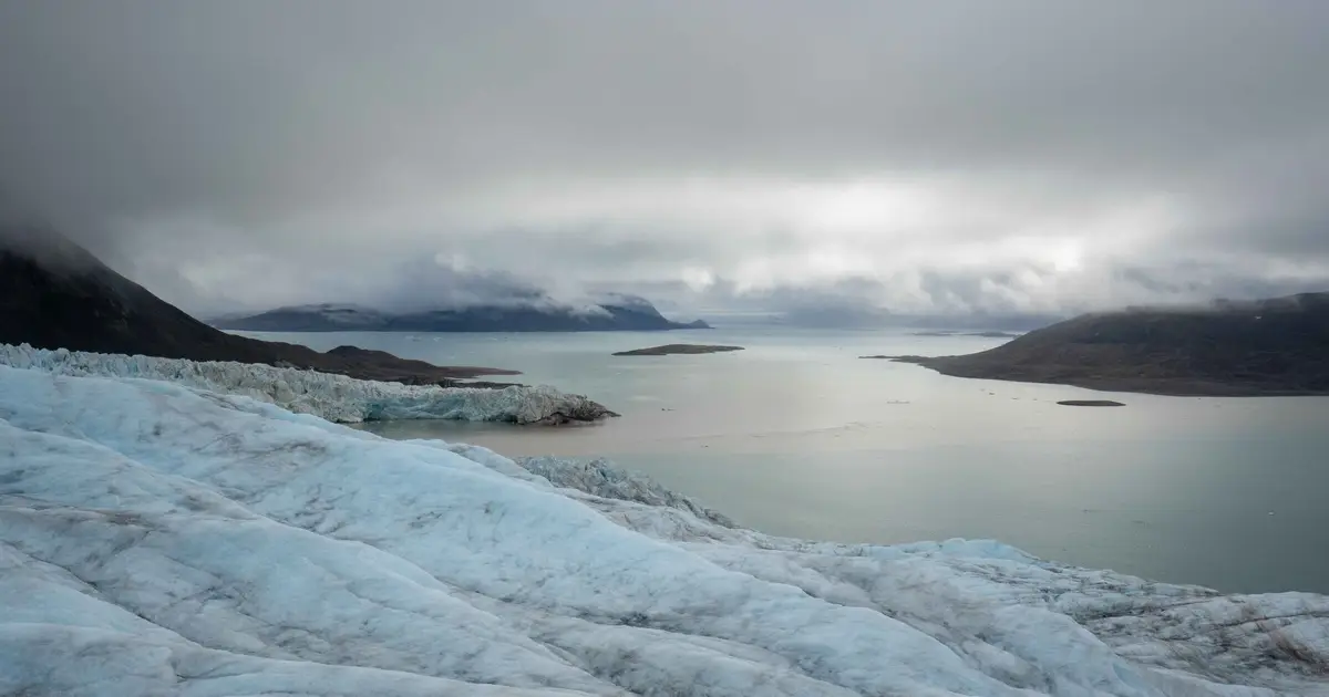 Fungi help lock carbon into Arctic fjord sediments