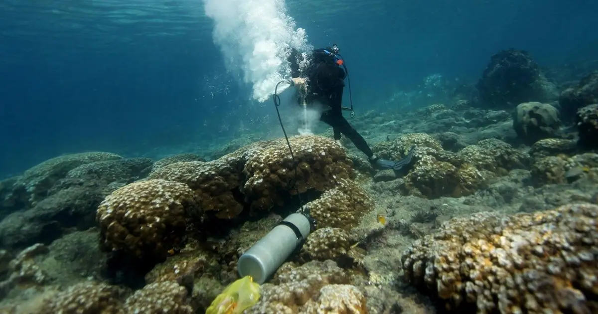 Galápagos corals show El Niño events are more extreme now than in past 1,000 years