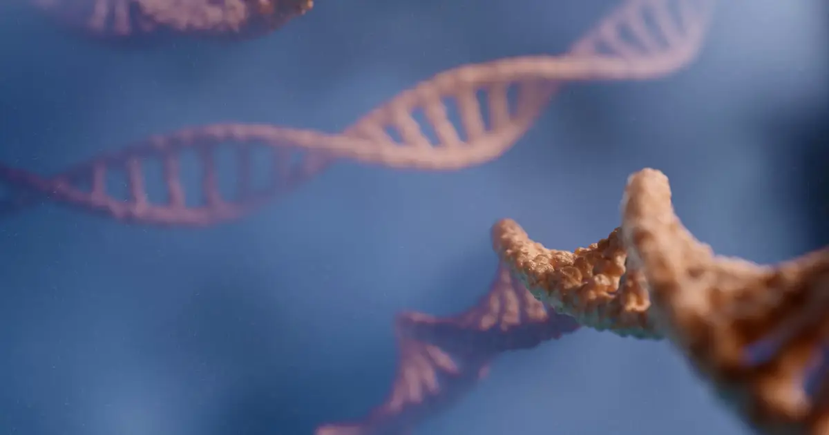 3D genome mapping in rare immune cells reveals new Crohn's disease genes