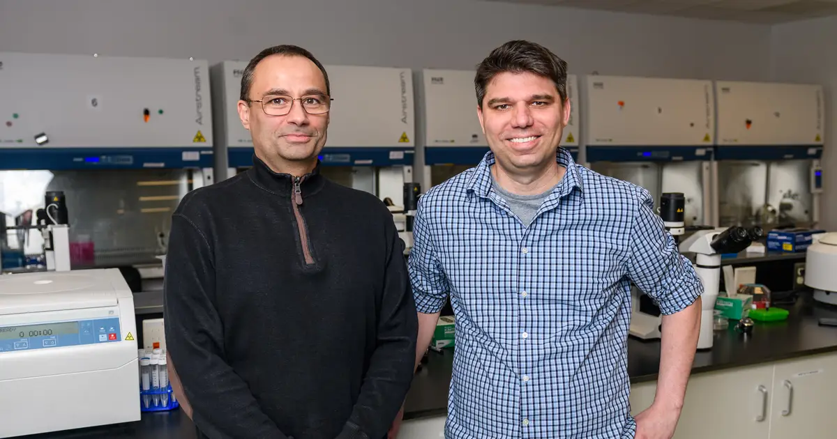Gene editing tool reduces Huntington's toxic protein fragments and symptoms in mice