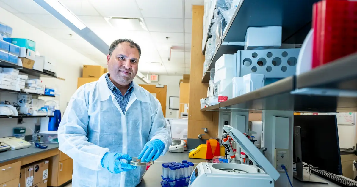 Research advances understanding of tick-borne Powassan virus