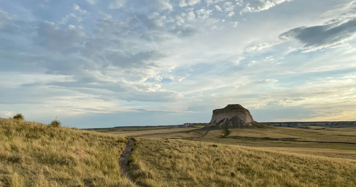 The order of species loss alters how grasslands maintain stability, study finds