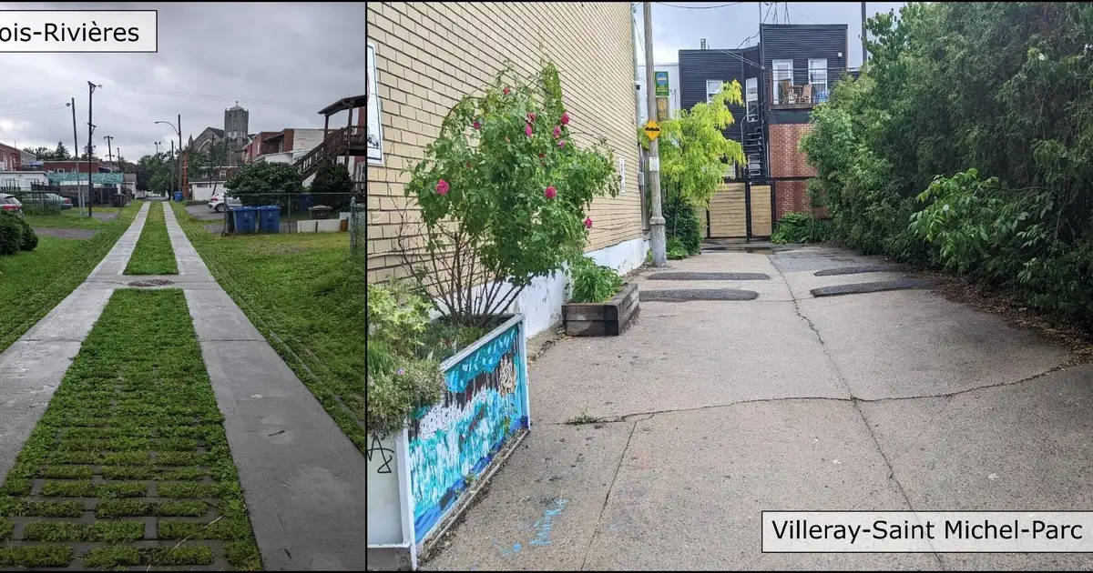 Green alley effectiveness depends on design and purpose, study finds