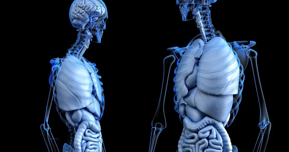 Researchers uncover hormone link between gut and brain in anorexia nervosa