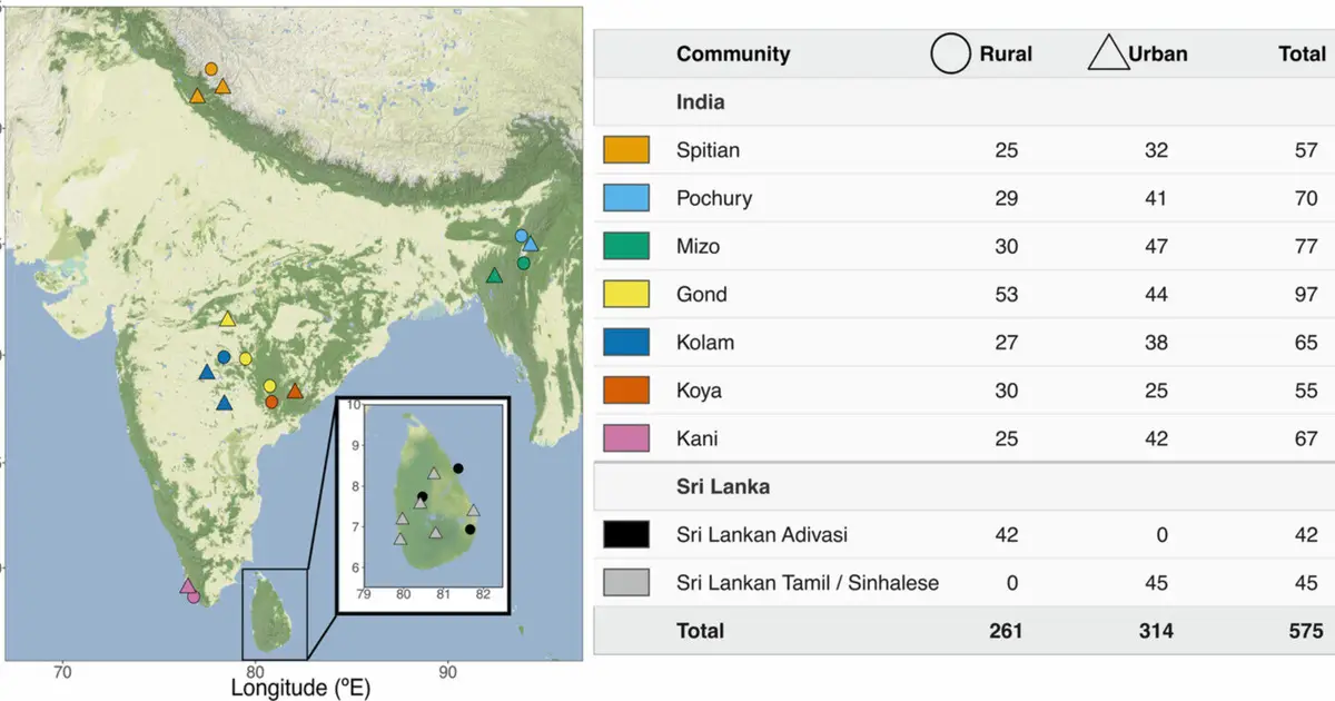 Gut microbiomes follow distinct trajectories during urbanization across South Asia