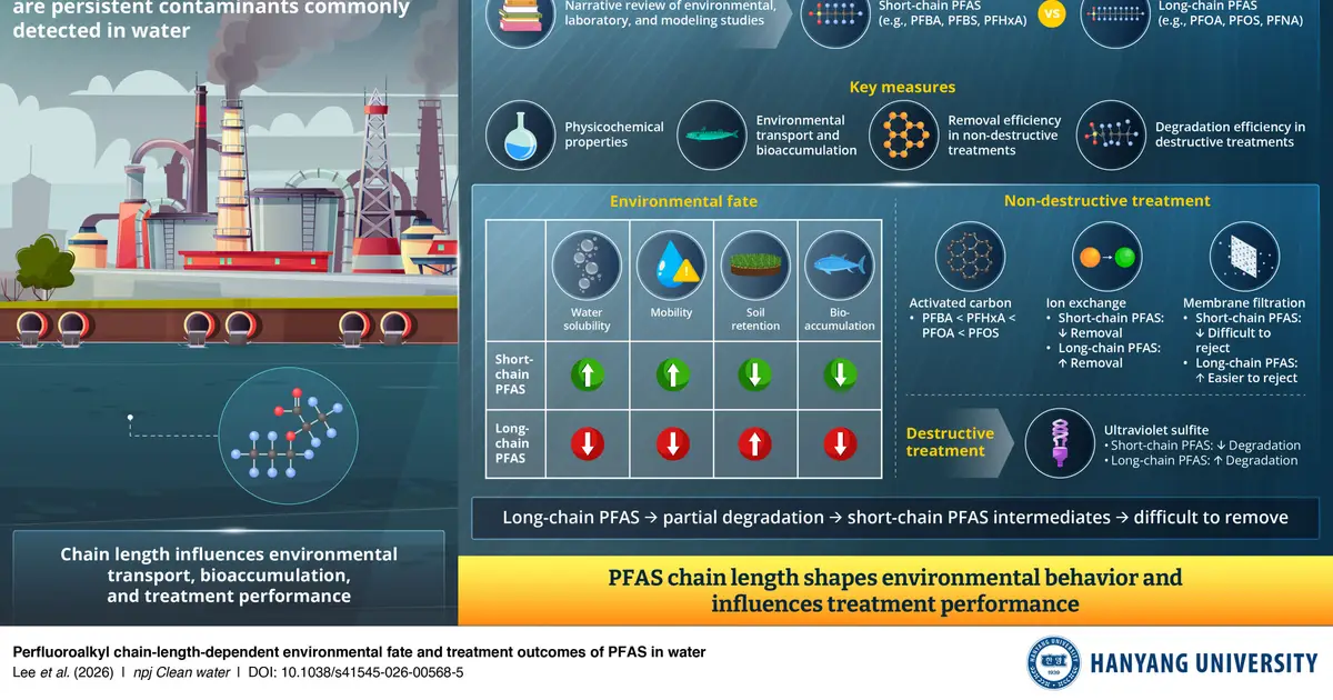 How PFAS chain length influences environmental fate and water treatment