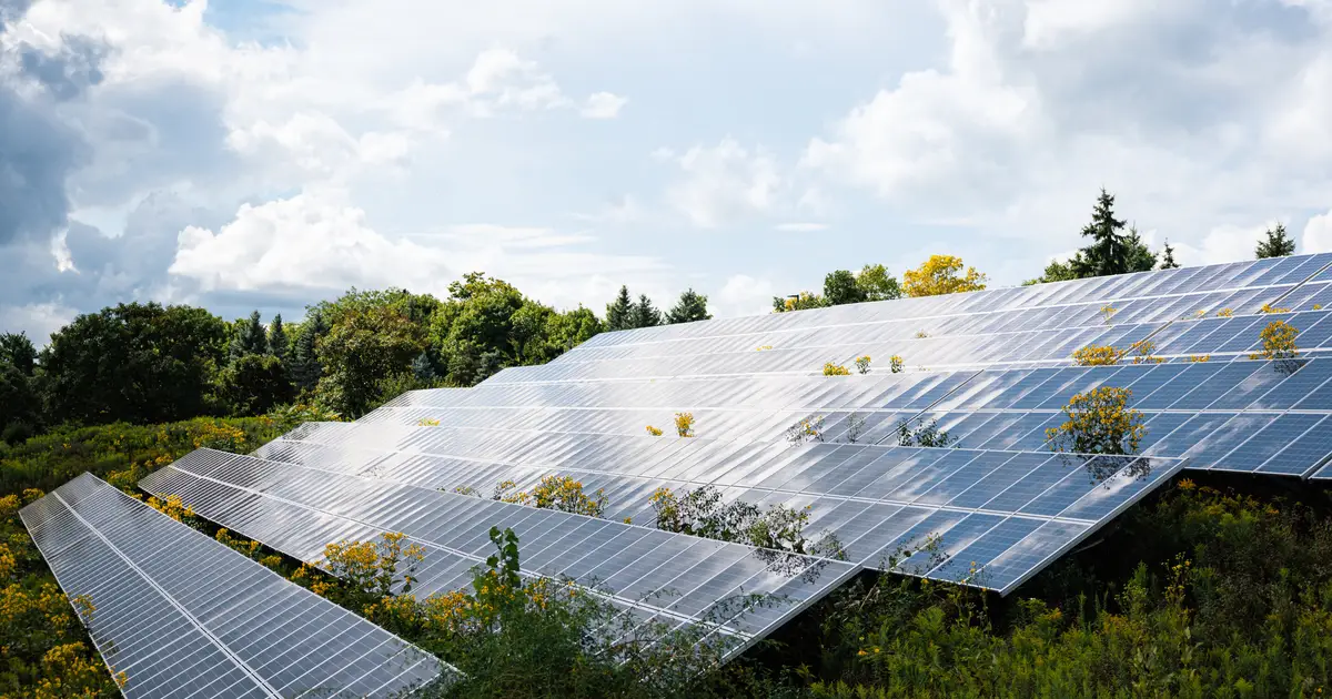Q&A: Harnessing climate investments to serve development goals