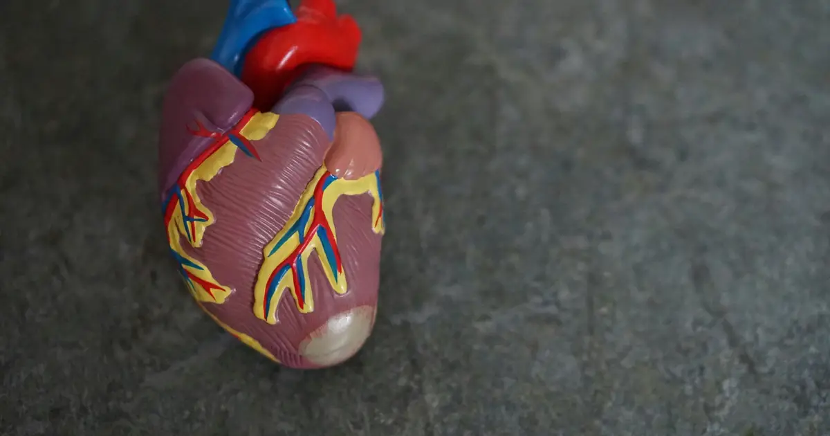 Adults 75 and older who stopped statins had similar three-year survival, trial finds