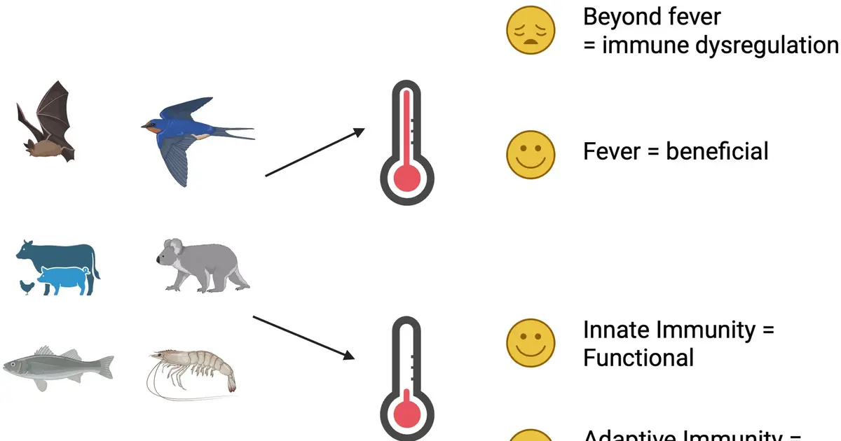 Heat and cold alter how animals fight disease. As the climate changes, this knowledge may be vital