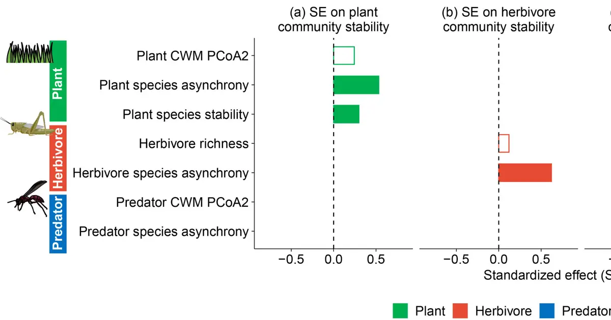 Herbivore species dynamics is key to grassland food web stability