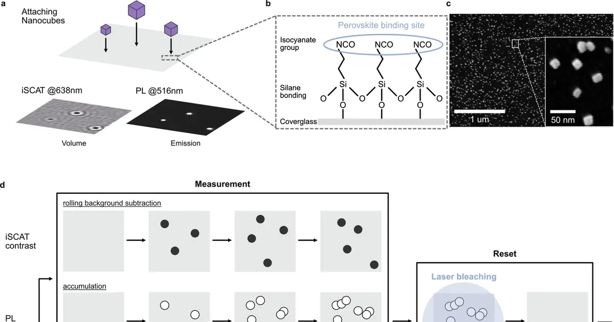 New method brings single-particle quality control to nanocrystal manufacturing