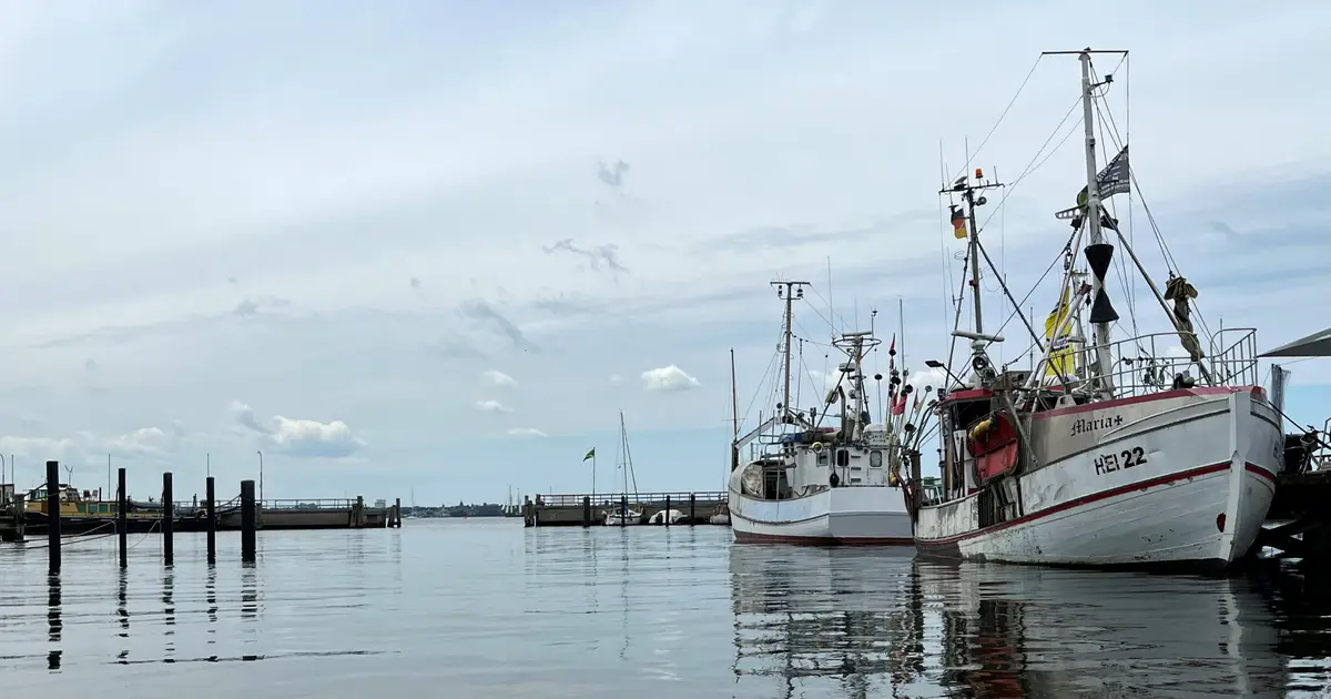 The herring fishery that took 400 years to rebound—and what it teaches us today