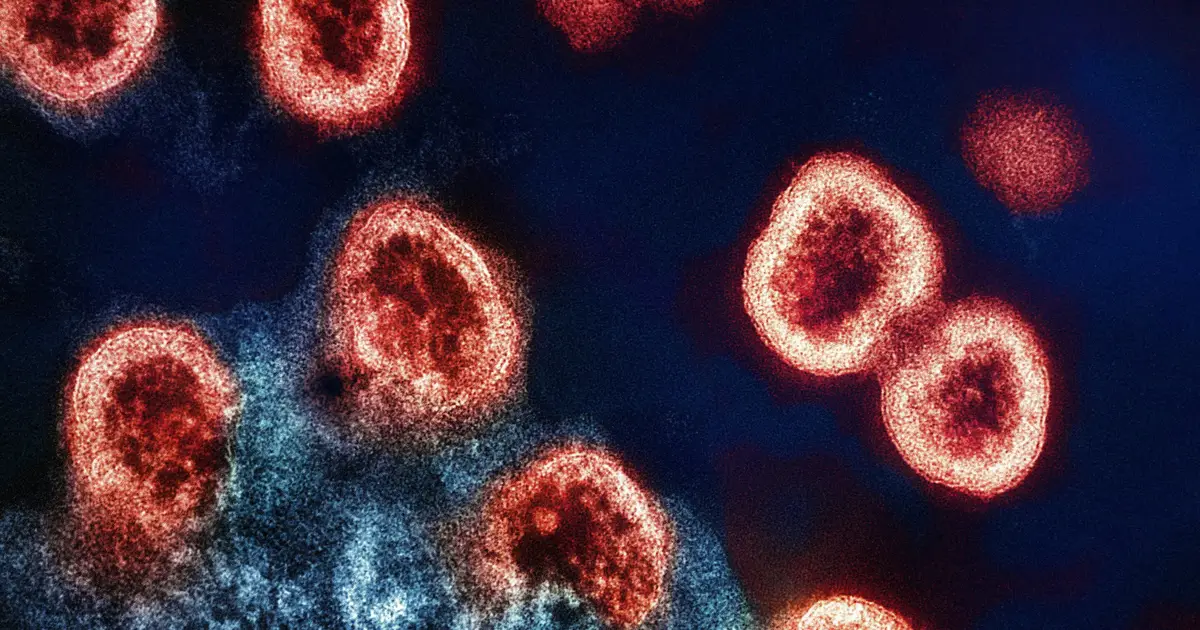 Anti-immigrant 'public charge' policy may have contributed to rise in HIV among Hispanic ropulations