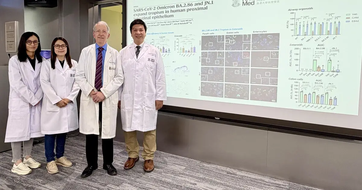 Two omicron variants replicate more efficiently in gut tissue models, experiments reveal
