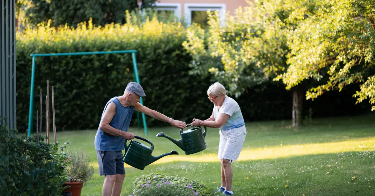 How home gardens can reduce risk of type 2 diabetes