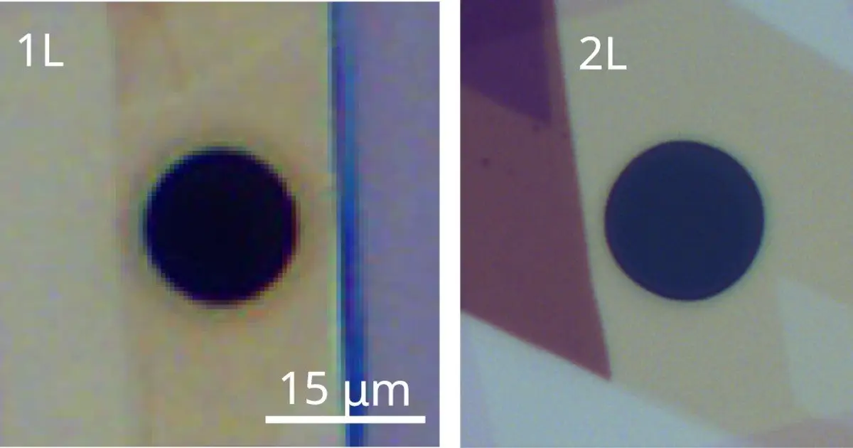 Honey-like heat flow: A new heat transport regime discovered in ultrathin semiconductors
