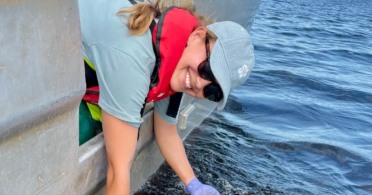 Hope for Maugean skate as juveniles reach adulthood in Macquarie Harbor