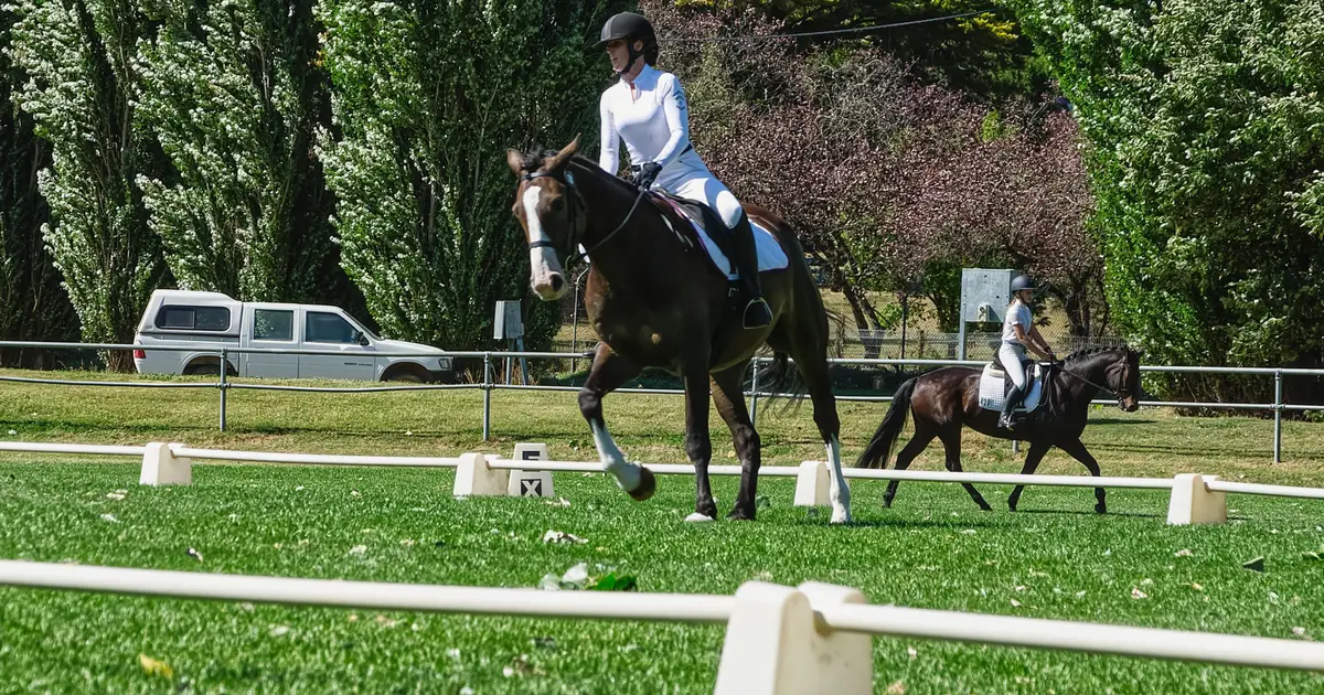 Study analyzes buyers' assumptions about carpal chips in Thoroughbred yearlings
