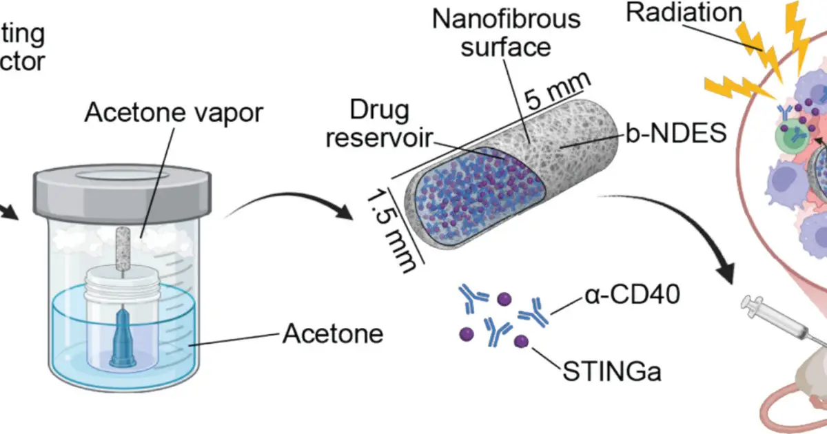 Biodegradable implant can deliver targeted cancer immunotherapy while protecting healthy tissue